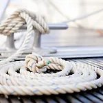 Strandmuschel, ca 100m z. Alten Strom